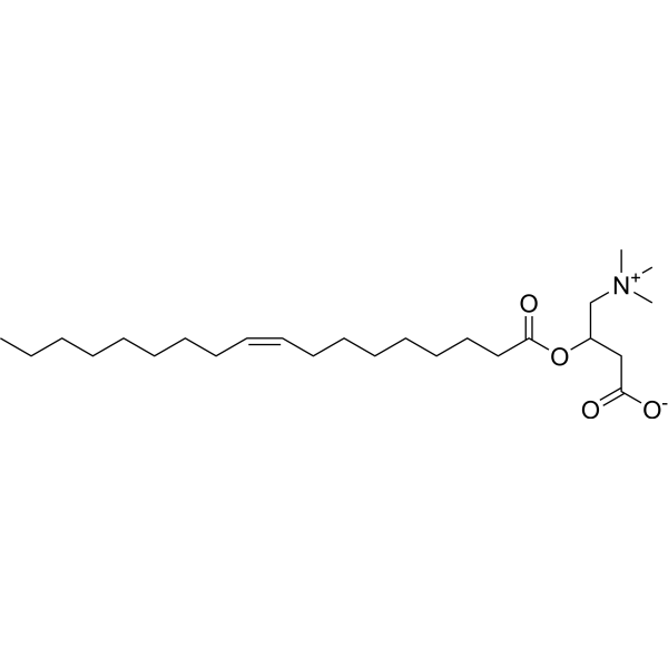 (Rac)-Oleoylcarnitine 13962-05-5